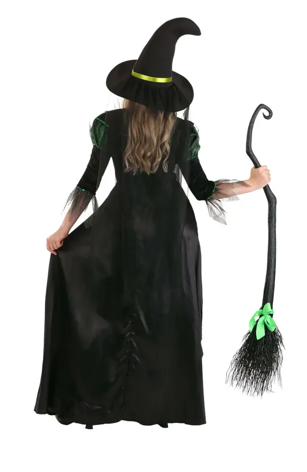 Adult Storybook Witch Costume Size XL - Image 2