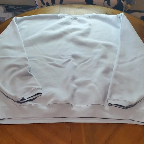 Hanes Sky Blue Crewneck Sweater - Image 3