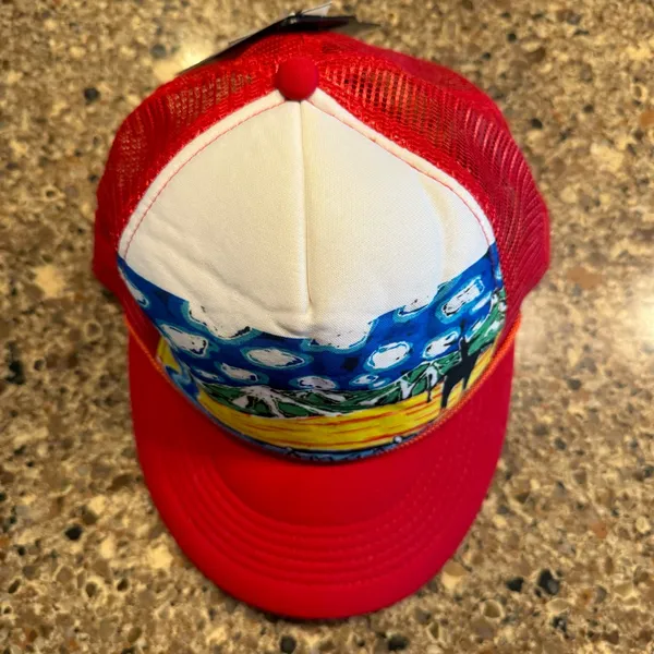 NWT: Smartwool RT Scene Trucker Hat - Image 8