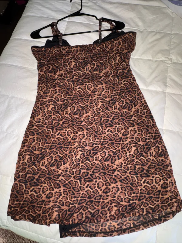 Leopard - Image 6