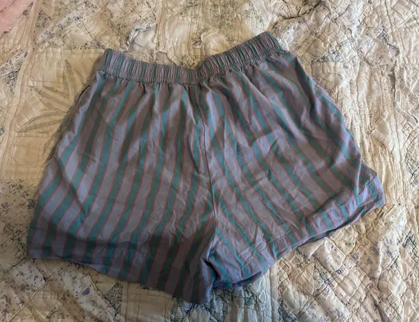 Anthropologie boxer shorts - Image 3