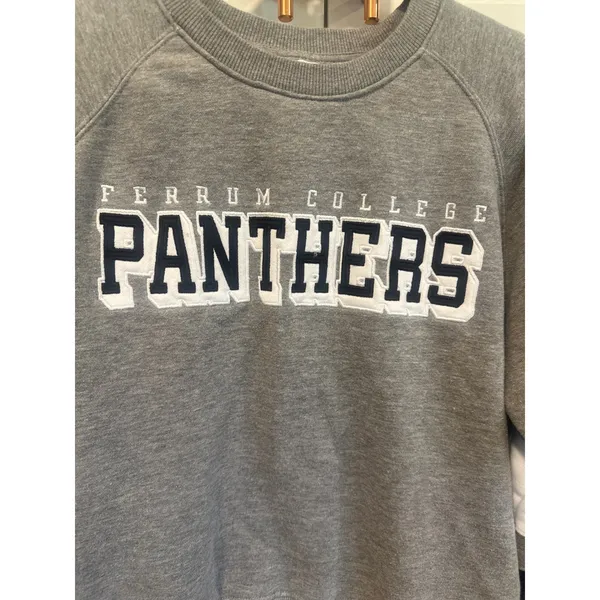 Champion Ferrum College Panthers Gray Crewneck Sweatshirt Womens Large Raglan VA - Image 2