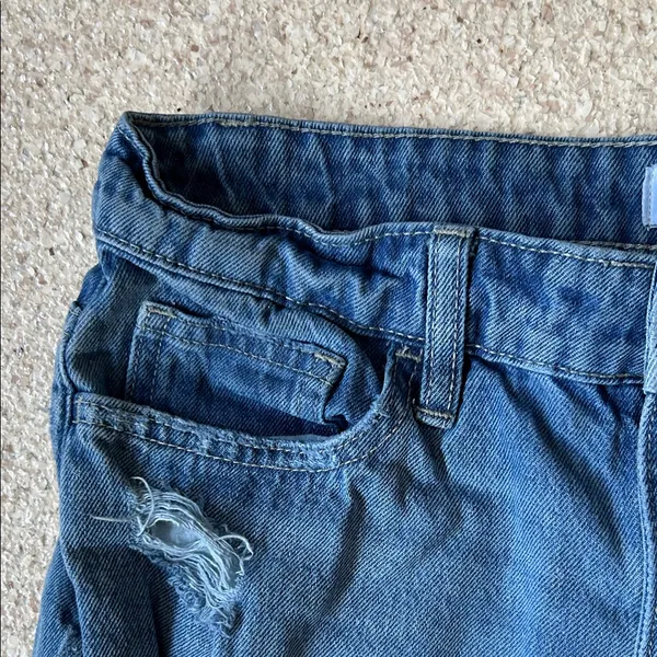 Vervet Distressed Blue Jeans - Image 4