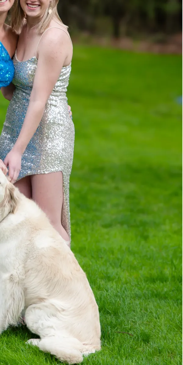 Gold sequin maxi dress Silver - Image 2