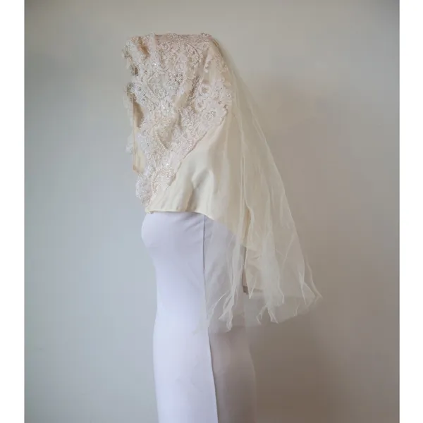 1974 Vintage Bianchi Silk Qiana Wedding Gown Lace Pearl Hood Veil Bridal Dress - Image 2