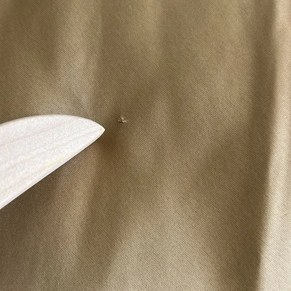 J.‎ Crew Gwyneth slip dress in luster charmeuse satin in Size 2 - Image 9