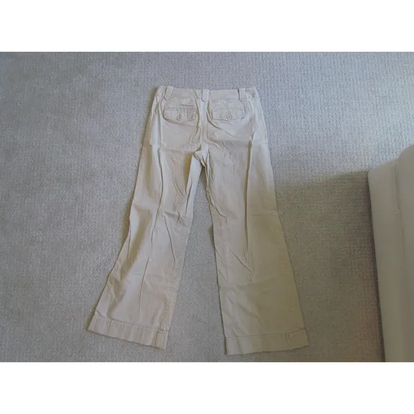Ann Taylor LOFT Marisa Pants Size 2 Tan Wide Leg Career Casual Trousers - Image 2