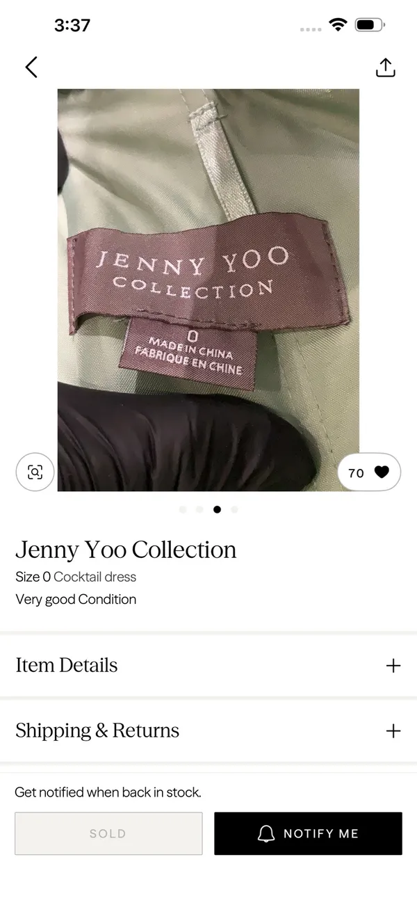 Jenny Yoo Collection Dress - Image 3