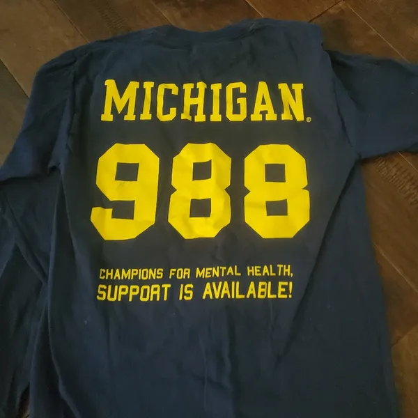 University Of Michigan Gildan Navy Long Sleeve with Yellow Michigan Size Small - Image 4