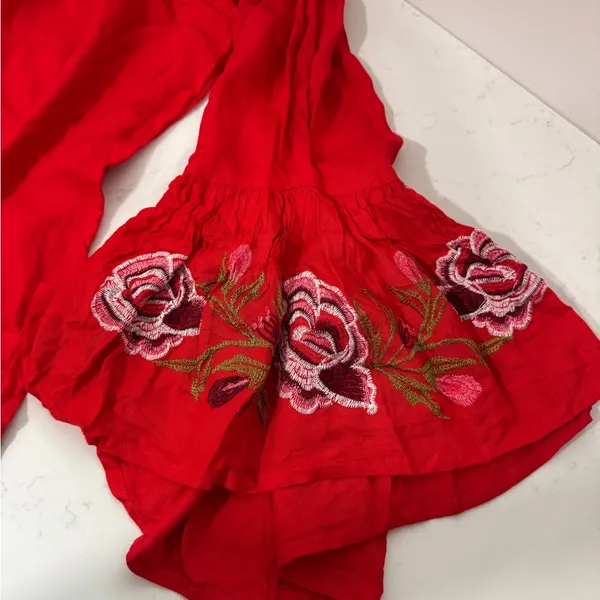 Dress Feathers Red Garment made in india - Image 4