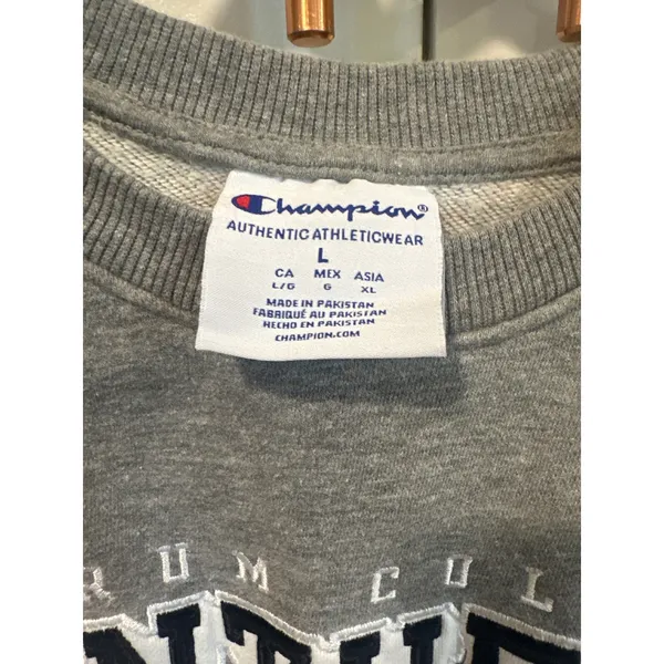 Champion Ferrum College Panthers Gray Crewneck Sweatshirt Womens Large Raglan VA - Image 5