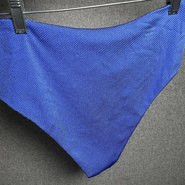 Aerie Large‎ High Cut Cheeky Swim Bikini Bottom Blue Summer NWT Bathing Suit - Image 9