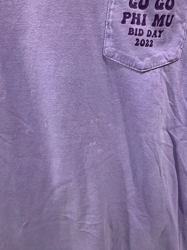 Comfort Colors Go Go Phi Mu Bid Day Tee - Image 6