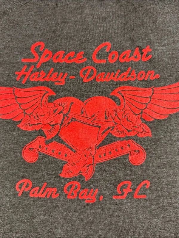 Harley Davidson Space Coast Palm Pay Fl Shiny Iridescent Graphic Tee Gray Large - Image 7