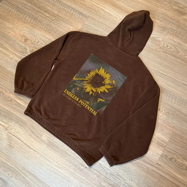 BDG Endless Potential Graphic Brown Pullover Hoodie - Image 5