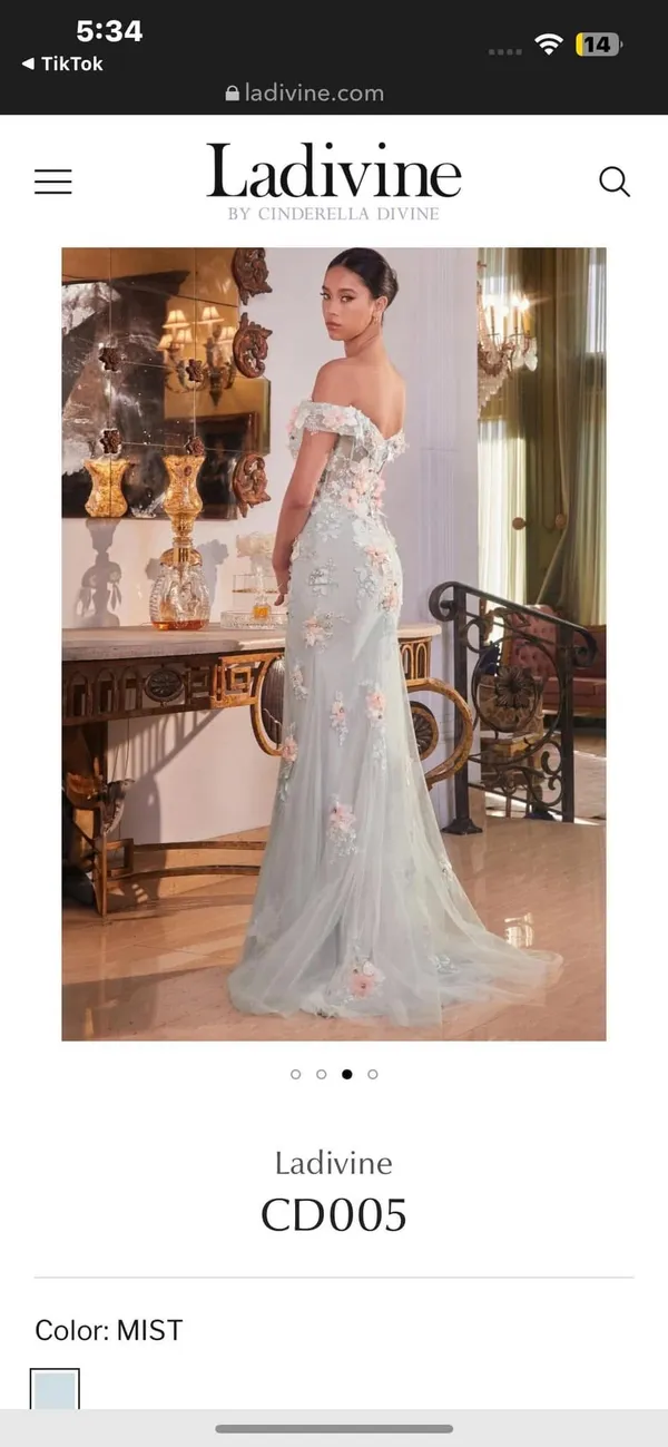 Cinderella Divine NWT Corset Off-Shoulder Floral Embellished Prom Dress - Image 12
