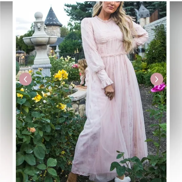 Ivy City Co NWT‎ Last Songbird Pink Fairy Whimsical Modest Midi Dress Medium - Image 3