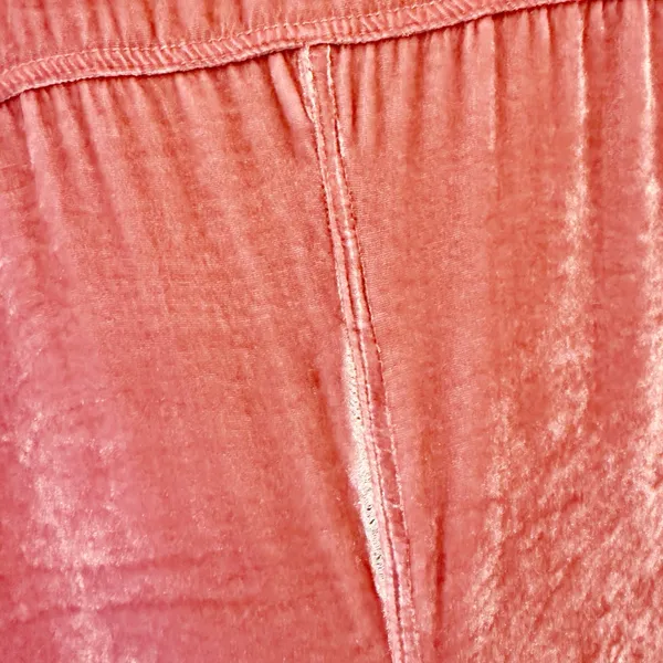 FREE PEOPLE x CP SHADES Cara Velvet Button Down‎ Shirt in Pink size Small - Image 9