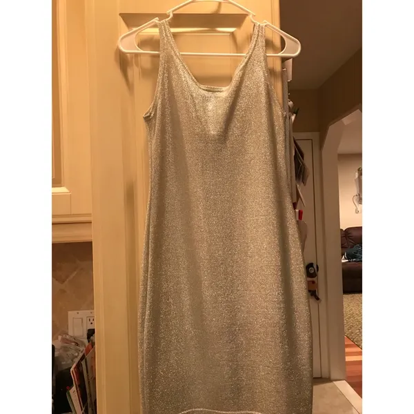Women’s Silver Sparkly Dress Size Small. NWT AKA Los Angeles $52 - Image 3