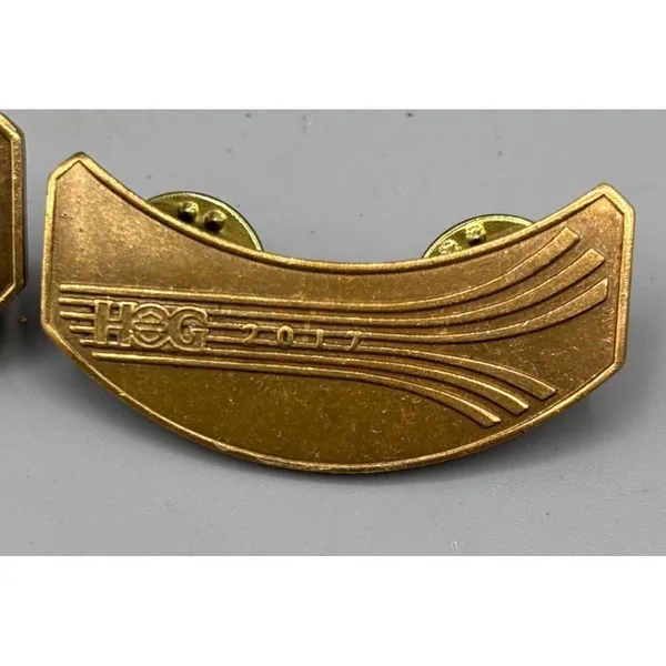 Harley Owners Group HOG Gold Tone Pins 2016 2017 Collectible‎ Lapel Badges - Image 3