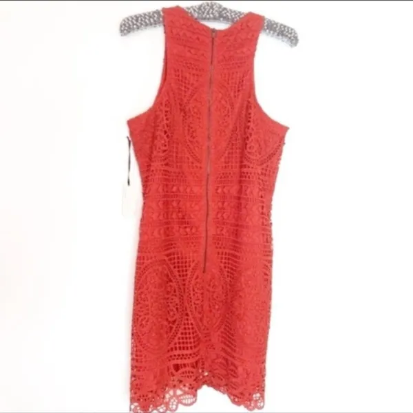 NWT‎ Lovers + Friends caspian lace mini dress - Image 5