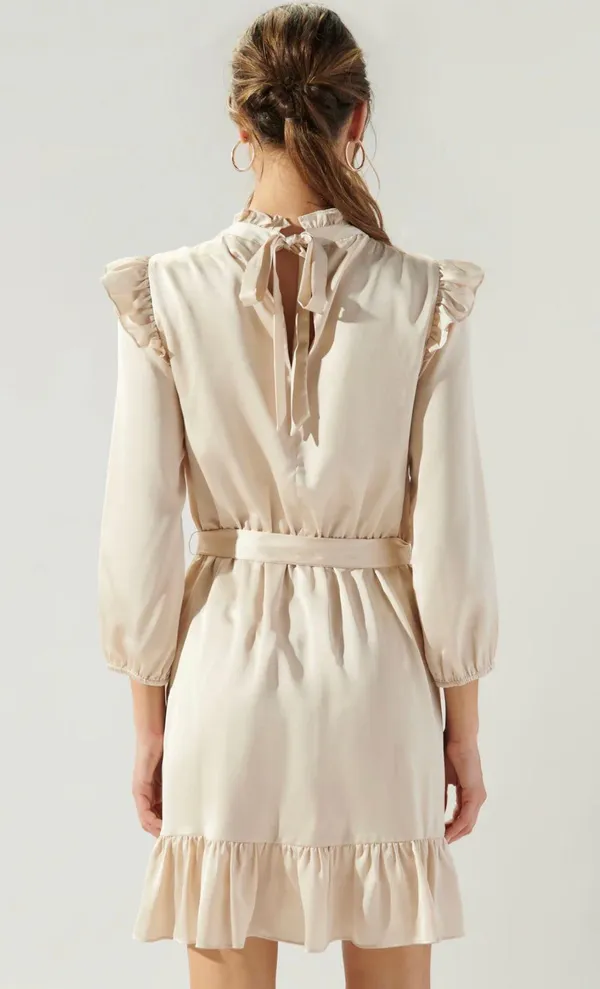 NWT Champagne Asymmetrical Dress - Image 3
