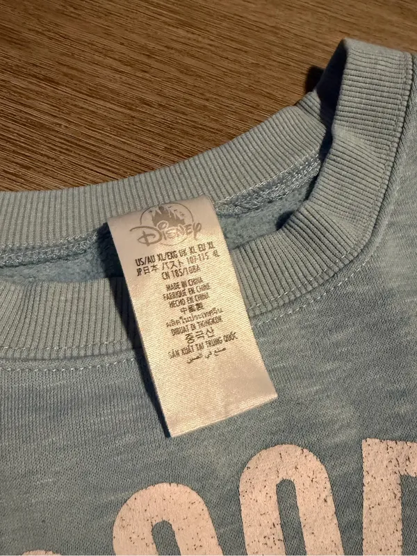 Disney Parks Feels Good to be Home Sweatshirt Blue Castle Fleece Sweater - Image 2
