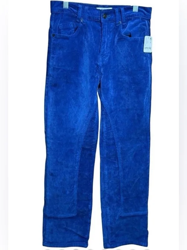 Free People We The Free Blue Corduroy Risk T High Rise Straight Pants Size 26 NW - Image 12