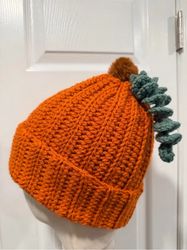 Handmade Crochet Pumpkin Beanie Orange Ribbed Hat Green Vine Pom Pom Fall - Image 7