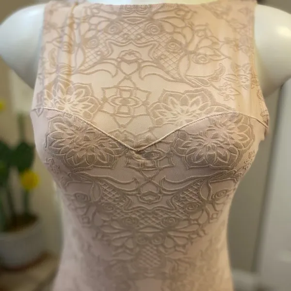 Fourteenth Place Bodysuit Womens Small Nude Pink Lace Illusion Low Open Scoop Ba - Image 5