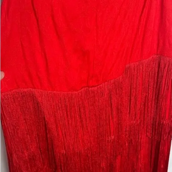Anthropologie Solid Fringe Halter Maxi Dress Red Size 12 - Image 6