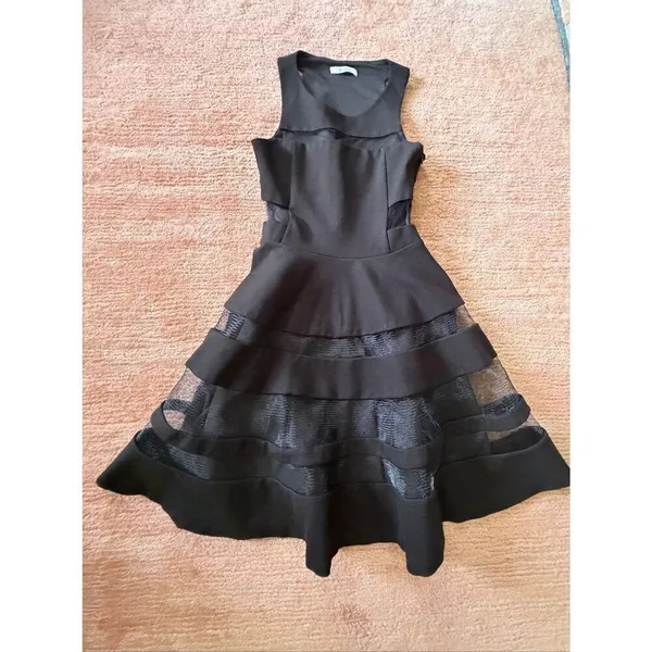 Parker $330 MSRP Black Mesh Cutout Fit & Flare Conner Party Dress Size Small - Image 3