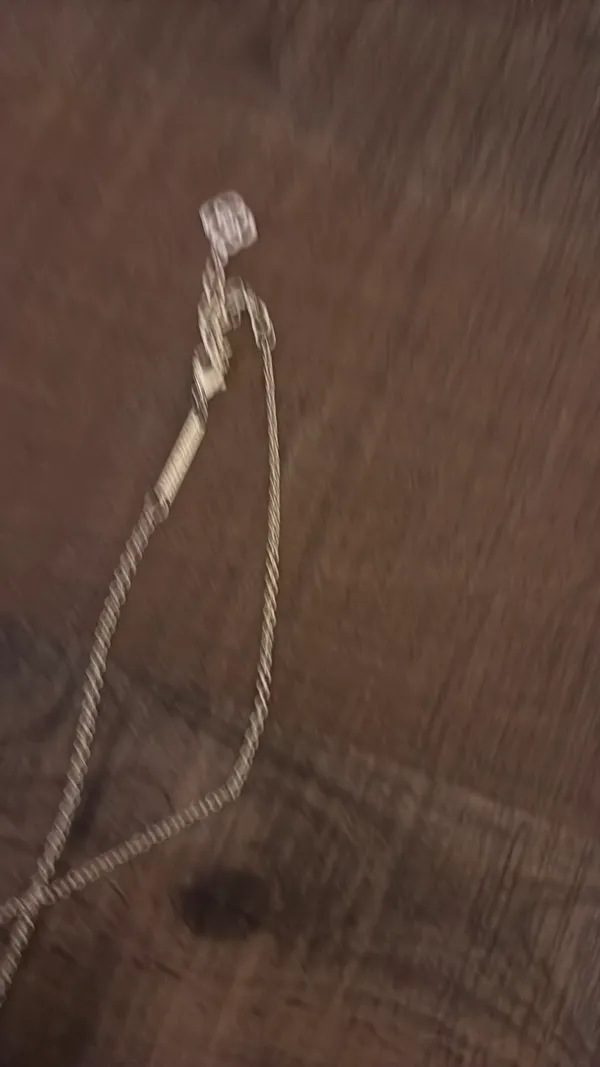 Kendra Scott Necklace - Image 2