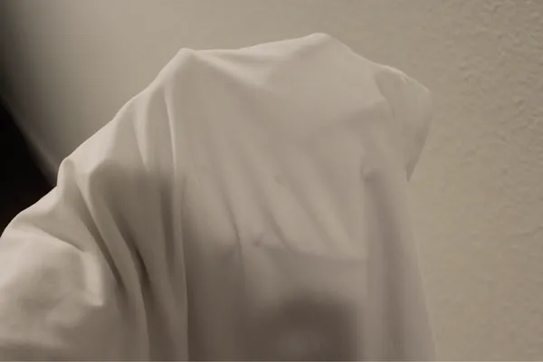 White Backless Gown - Image 6