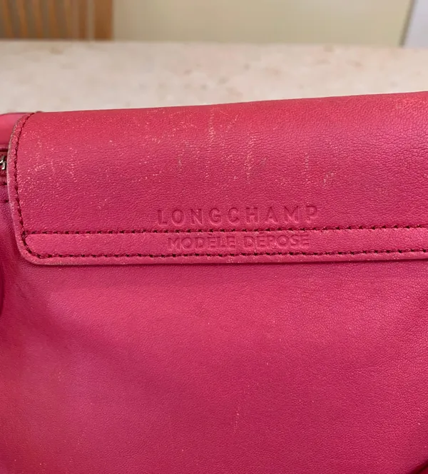 Le Pliage Cuir leather bag - Image 7