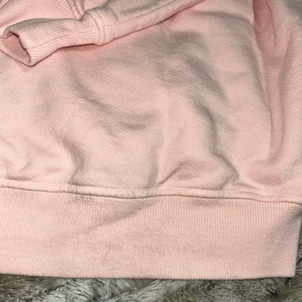 Harry Styles 🆕 NWOT Pleasing Coachella 2022 Exclusive Limited Release Hoodie - Image 15