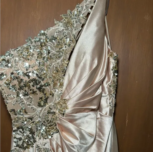 Cinderella Divine Formal champagne/gold dress - Image 3