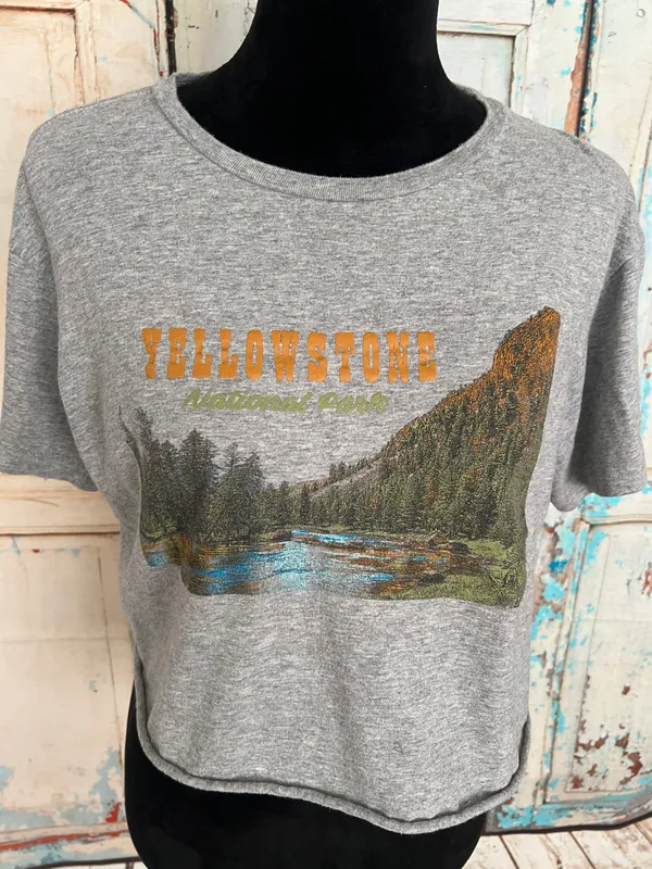 Flow Women’s Short Sleeve Crew Neck Crop Top Gray Size Large - Image 2