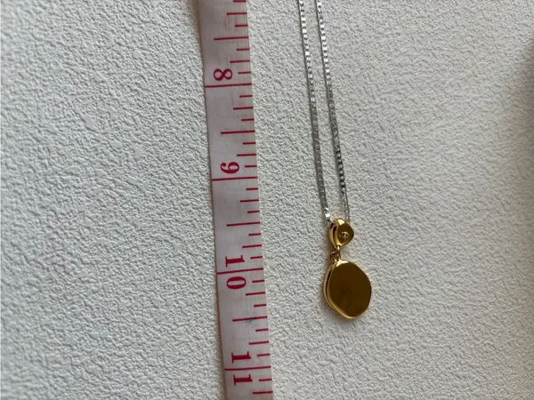NWOT Jenny Bird Two-Tone Silver Chain Necklace with Gold Pendant Charm - Image 10