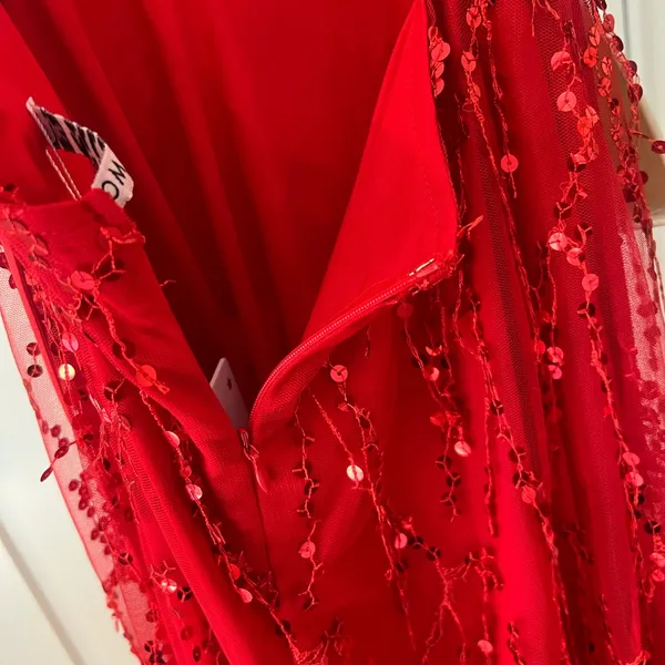 Hello Molly Red Backless Sequin Dress - Image 10