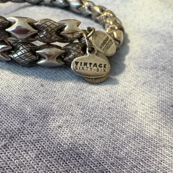 EUC Alex and Ani Vintage 66 Snake Silver Bracelet - Image 3