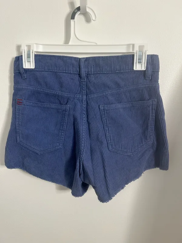 NWT Urban Outfitters BDG Blue Corduroy Shorts - Image 2