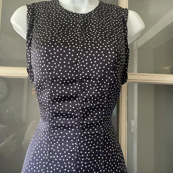 Alexis Dutsa Polkadot Dress - Image 5