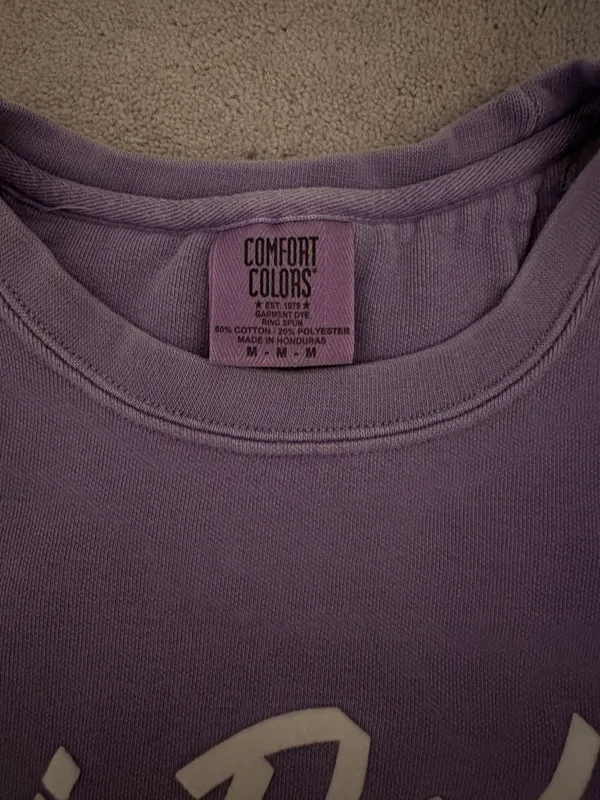 Comfort Colors Tri Delta Crewneck - Image 2