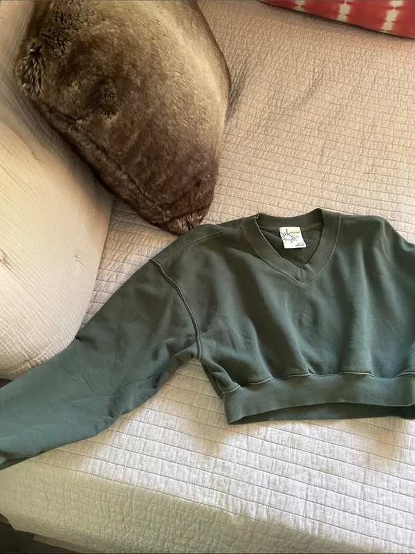 OFFLINE By Aerie Throw-Back green Cropped V Neck Sweatshirt XS oversized - Image 6