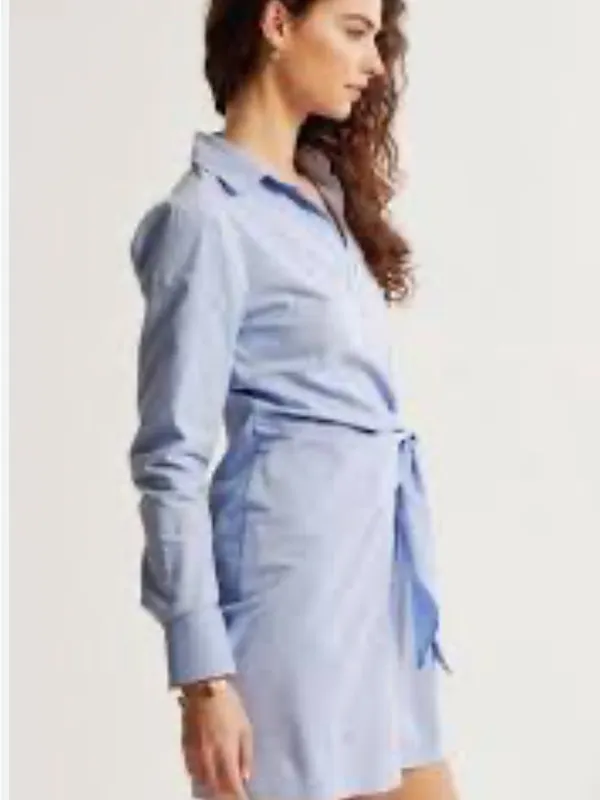 NWOT Abercrombie & Fitch Light Blue Pinstripe Long Sleeve Shirt Dress - Image 2