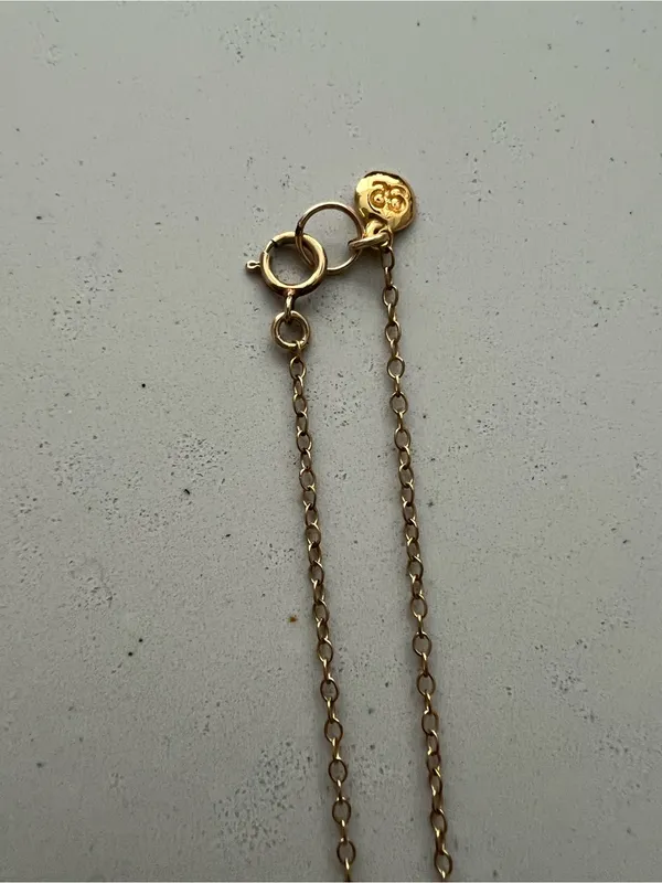 Gorjana Gold long hammered Necklace - Image 5