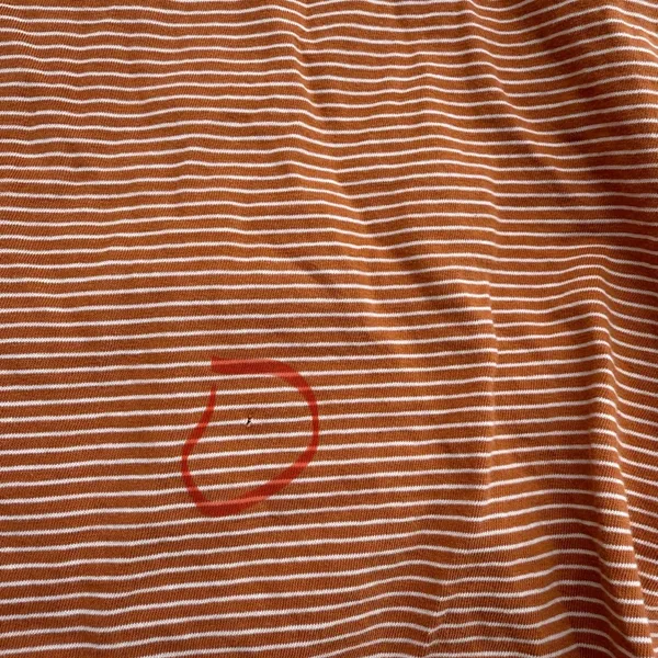 Pact Organic Cotton Striped T-Shirt - Image 2