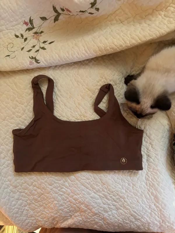 Indigo Luna Boxy Bra Brown - Image 3