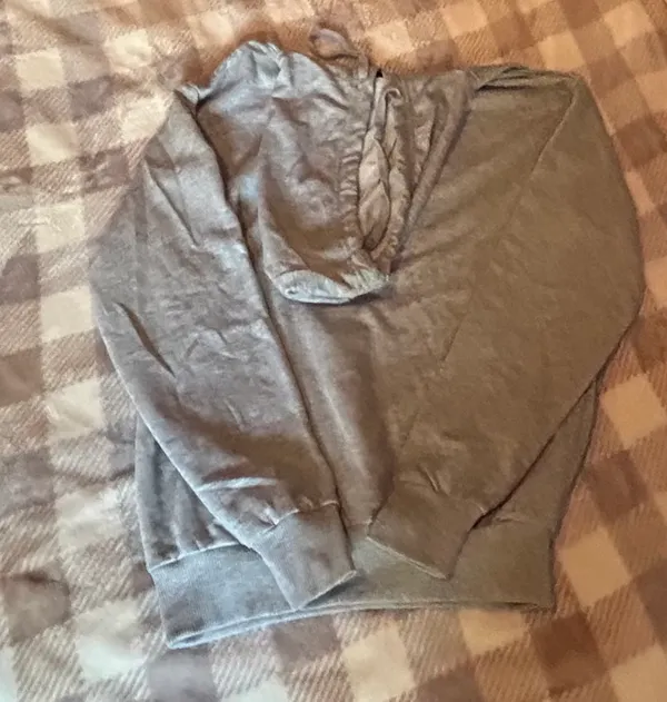 Panther Hoodie Gray Size M - Image 3